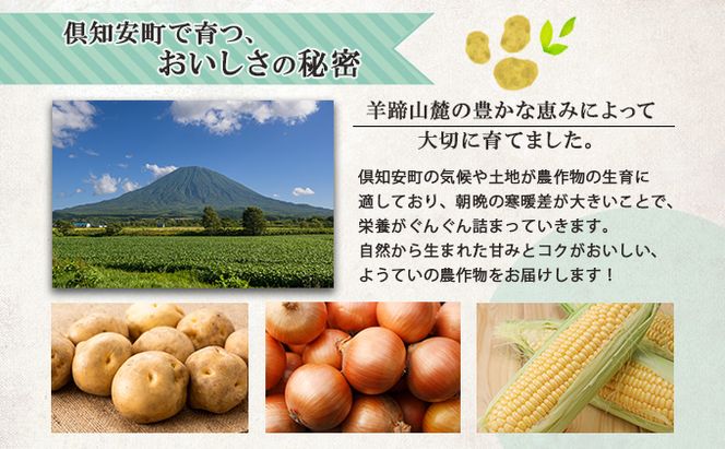 【2026年発送】北海道産 アスパラガス 有機 グリーンアスパラ 1kg前後 サイズ混合 オーガニック アスパラ 旬 朝採り 新鮮 お取り寄せ 産地直送 産直 野菜 農作物