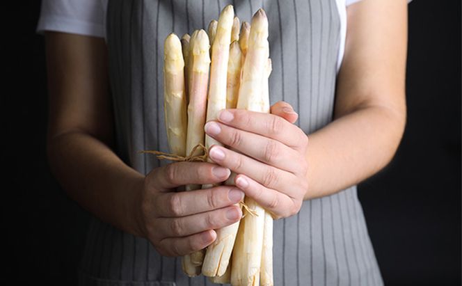 【2026年春発送】訳あり ホワイト アスパラ サイズ混合 【1kg】65本前後 富良野産 アスパラガス 大容量