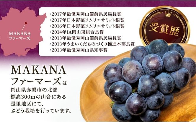 ぶどう 2026年 先行予約 オーロラ ブラック 2房（1房600g～700g） 大粒 種無し ブドウ 葡萄 岡山県産 国産 フルーツ 果物 ギフト MAKANAファーマーズ 果物類 オーロラブラック[№5735-3589]