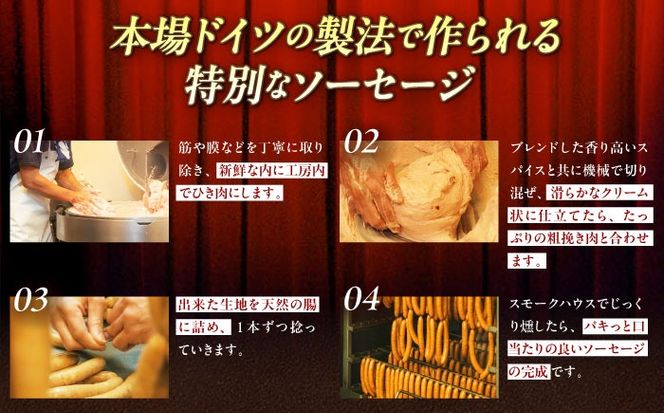 【全3回定期便】TESIOの自家製ハム＆ソーセージ 『手始めTESIOセット』 豚肉 ハム ソーセージ 小分け 真空パック 沖縄市 / TESIO[BCAD007]