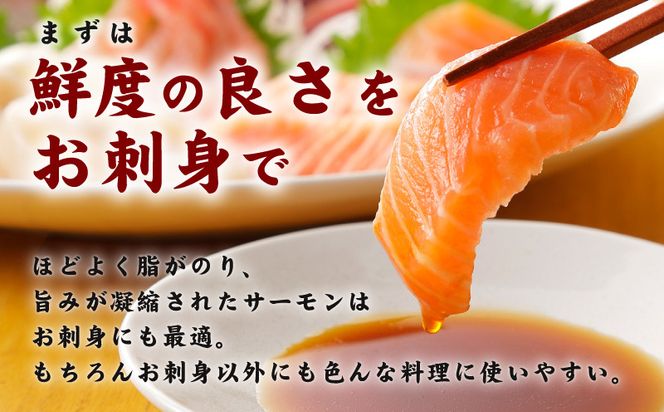 010B1195 サーモン 切り落とし 900g【小分け 刺身 海鮮丼 サラダ カルパッチョ さーもん 訳あり サイズ不揃い 時短 簡単調理 冷凍 TVで紹介】