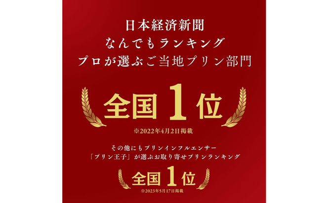 ［3ヶ月定期便］究極のカラメルプリン【砂プリン】6個セット 312011_DD022