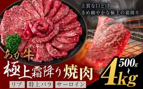 あか牛 極上霜降り リブ サーロイン 特上バラ 焼肉 500g 1kg 2kg 4kg《30営業日以内に出荷予定(土日祝除く)》熊本県 氷川町 牛 牛肉 和牛 ブランド牛---hkw_26_lcl_433_500g---