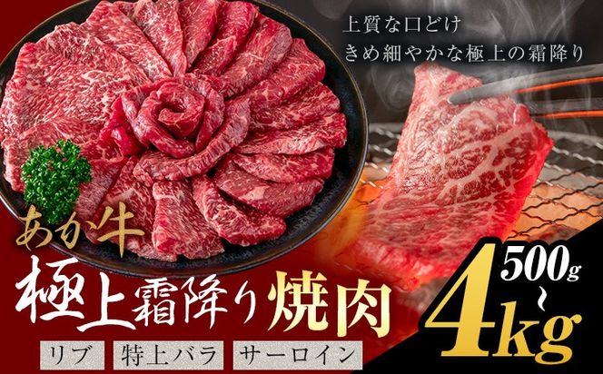 あか牛 極上霜降り リブ サーロイン 特上バラ 焼肉 500g 1kg 2kg 4kg《30営業日以内に出荷予定(土日祝除く)》熊本県 氷川町 牛 牛肉 和牛 ブランド牛---hkw_26_lcl_433_500g---