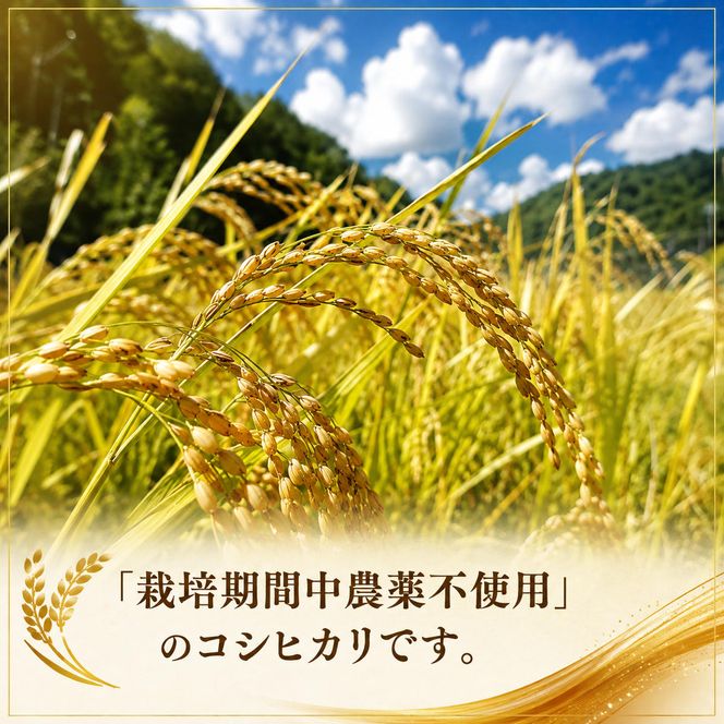 令和8年度産 新米先行予約 コシヒカリ 5kg 美山産 ひとしずく 令和8年 5キロ 農薬不使用 米 白米 精米 コメ お米 栽培期間中農薬不使用 単一原料米  ご飯 ごはん 安心 安全 こしひかり 新米26