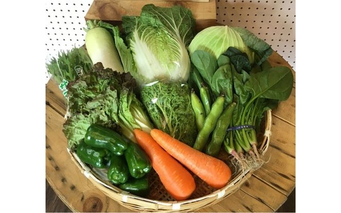 忍びの国の野菜セット（12品以上）季節毎に4回お届け mtur-tkb0002