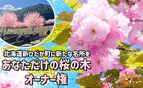 ＜ 北海道 新ひだか町 に新たな 桜 の 名所 を ＞ あなた だけの 桜の木 オーナー 権 八重桜 キャンプ BBQ バーベキュー 三石 まつもと牧場