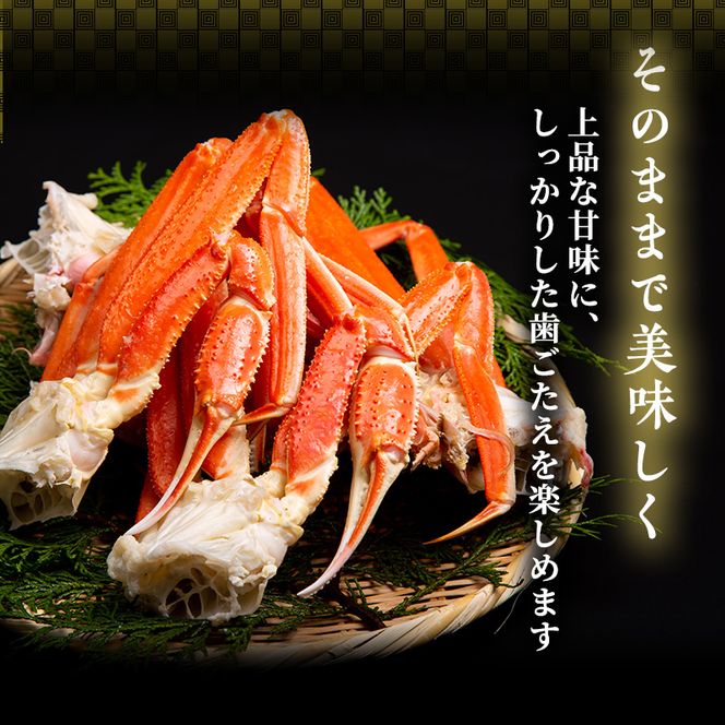かに 訳あり 期間限定 茹で 越前ガニ 約600g～700g未満1杯 ボイルカニ ボイル 魚介類