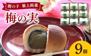 【老舗の菓子屋】築上銘菓「 梅の実 」9 個《築上町》【有限会社 御菓子司 鹿の子】[ABAC017]