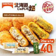訳あり 北海道 コロッケ じゃがいも畑 2種 詰め合わせ 計40個 牛肉 入り カレー じゃがいも 最短3日 7日出荷 冷凍食品 惣菜 弁当 おかず 揚げ物グルメ 大容量 冷凍コロッケ 揚げるだけ 時短 