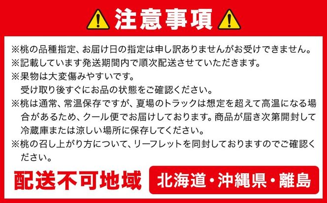 【2026年先行予約】桃 ぶどう 詰合 岡山白桃 2玉(1玉220g以上) ニューピオーネ1房(1房480g以上) シャインマスカット 晴王 1房(1房480g以上) 化粧箱入 株式会社山博《2026年7月下旬-8月中旬頃出荷》岡山県 笠岡市 フルーツ 果物 葡萄 マスカット もも お取り寄せ【配送不可地域あり】---Y-34a---