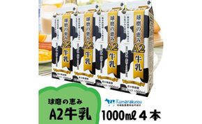 牛乳 お腹にもやさしいA2ミルク！球磨人吉産 球磨の恵み A2牛乳 4本パック ミルク  【配送不可：沖縄県、離島】