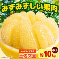 【先行予約】土佐文旦 小玉 家庭用 約10kg （M～Lサイズ：23～29玉入り） 文旦 ぶんたん ブンタン 10キロ 柑橘 フルーツ デザート 果物 ご当地 人気 名産＜2027年1月中旬～順次発送＞【玉木農園】