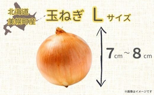 【令和8年産 先行予約】玉ねぎLサイズ・20kg（2026年10月上旬より順次発送） BHRG130