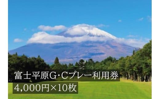Q34富士平原Ｇ・Ｃプレー利用券　１０枚 【小山町内 ゴルフ場 共通利用券】
