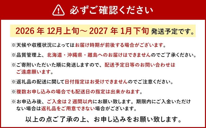 今季初採れ あまおう 2パック 約500～540g 【数量限定】 【2026年12月上旬～2027年1月下旬発送予定】 苺 いちご 果物 果実 フルーツ 国産 九州 福岡県 香春町 冷蔵
