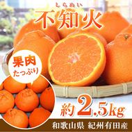 紀州有田産不知火(しらぬひ) 2.5kg