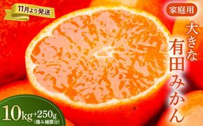 家庭用 大きな有田みかん10kg+250g（傷み補償分）【わけあり・訳あり】【光センサー選果】 