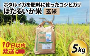 【訳あり】ほたるいか米（玄米５kg）【通年発送】
