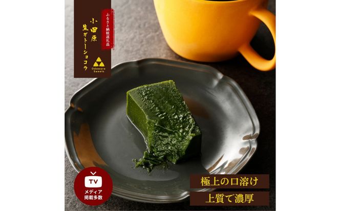 引き算の美学。幸せの生ガトーショコラ MATCHA (抹茶)  300g【チョコレート 特濃厚 濃密な味わい 極上の口溶け 極上のチョコレート 一流の料理人 カカオの風味やコク カカオ 至極の逸品 神奈川県 小田原市 】 142069_DW016