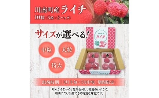 ※サイズが選べる※【令和8年産】川南町産ライチ 10粒(5粒×2パック) 【 国産ライチ フルーツ デザート 宮崎県産 】 [B03201 B03202 B03203]