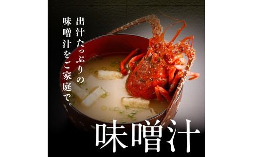 ※内容量が選べる※ 【訳あり！】【漁協直送！】冷凍伊勢海老 【 伊勢海老 イセエビ 訳あり 魚介 】 [B01707 B01708 B01709]