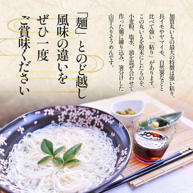 【 小豆島 】加賀の丸芋いり小豆島手延べ素麺 2.55kg 