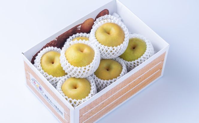 梨 季節の朝倉の梨 5kg 6-18玉 配送不可 離島 果物 フルーツ デザート おやつ 福岡県産 朝倉市産 秋の味覚 幸水 豊水 秋月 新高 南水 