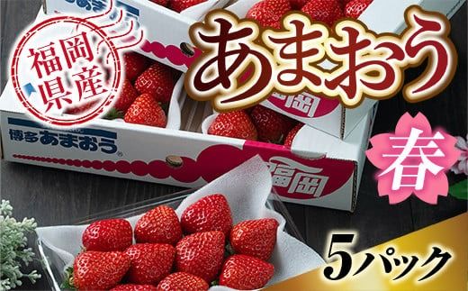 福岡産あまおう春5パック　 ※2025年2月上旬から2025年3月下旬に順次発送予定　AX004