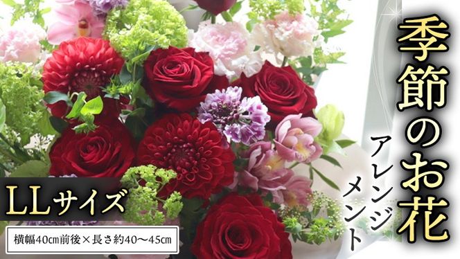 y錧}szG߂   AWg LL Mtg v[g  j  LO t[  [CT142ci]