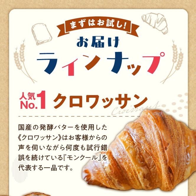 大容量！ 『mon coeurの厳選パンセット≪１５個≫』  H196-004