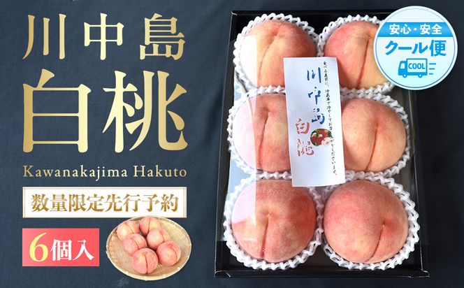 ya̎R쒬zm2026NnmIʌs\In쒆 2kg 6 1001̌Ii _ƌIImKG33n 303446_XM90033