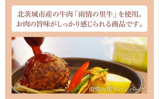 BX003　雨情の里牛ハンバーグ・うしごはんの具セット