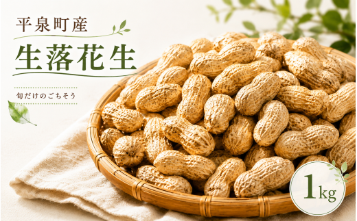 【9月下旬～10月下旬発送】 平泉町産 生落花生 おおまさり ゆで落花生用 1kg /  落花生 ピーナッツ ナッツ おつまみ おやつ 【配送不可地域：九州／沖縄県／離島】【ipo002】