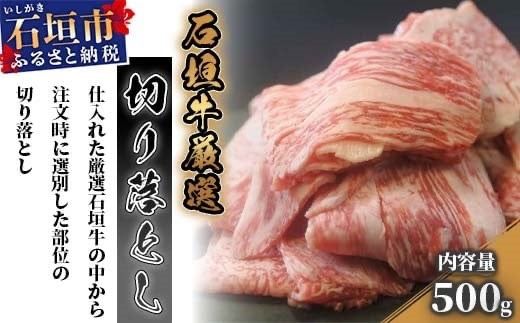 yꌧΊ_szIΊ_؂藎Ƃ500g@I-13