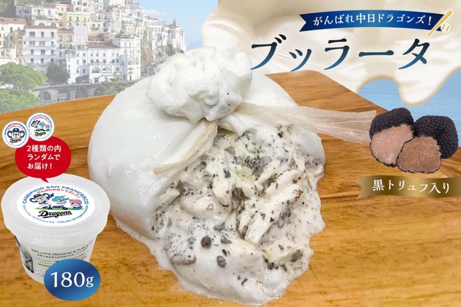 がんばれ中日ドラゴンズ！ブッラータ黒トリュフ入り1個【中日ドラゴンズコラボ】【0073-074】