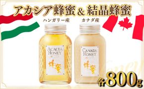 ハンガリー産｢アカシア蜂蜜｣ 800g ･カナダ産｢結晶蜂蜜｣ 800g D-545