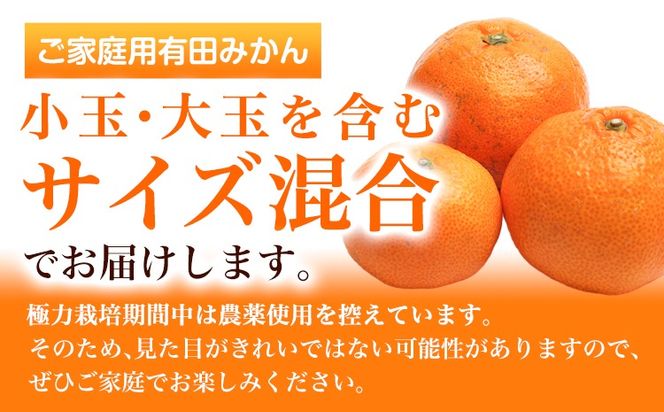 家庭用 完熟 有田みかん 5kg+250g （傷み補償分）【光センサー選果】池田鹿蔵農園@日高町（池田農園株式会社）《11月中旬-1月下旬頃出荷》和歌山県 日高町 訳あり わけあり みかん【配送不可地域あり】---wsh_idn285_11c1g_25_16000_5kg---