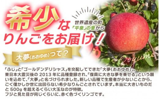 【2025年11月下旬より発送】大文字りんご園 大夢（おおゆめ） 約3kg (7～10玉) 【2025年11月上旬頃より順次発送】/ りんご リンゴ 林檎 果物 くだもの フルーツ 甘い 旬 産地直送 予約 先行予約【dma513-l-oy-3C】