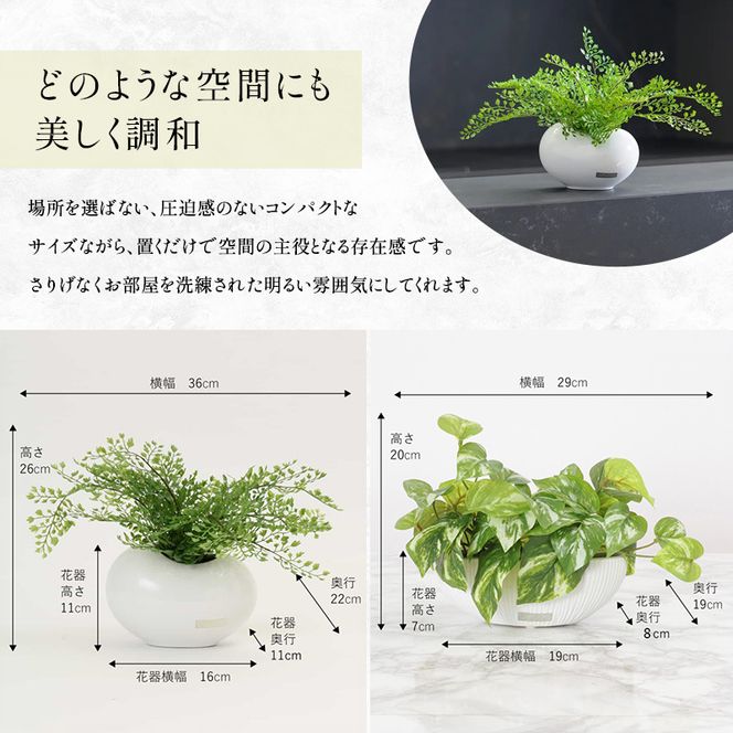 観葉植物 エミリオ・ロバ 3点セット アジアンタム ポトス アイビー 造花 シダ つる性 Sサイズ 卓上 フェイクグリーン アーティフィシャルグリーン 人工観葉植物 インテリア 水やり不要 テーブル リビング 玄関 ギフト 贈り物 三重県