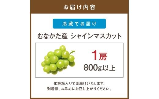 【先行予約】JAむなかた厳選【むなかた産シャインマスカット】1房(800ｇ以上)【JAほたるの里】_AS0913-00