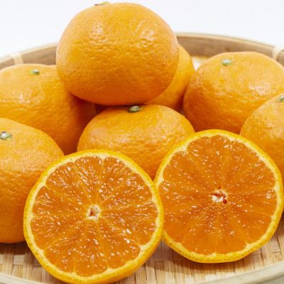 【春みかん】和歌山有田産カラマンダリン約5kg(サイズおまかせ)