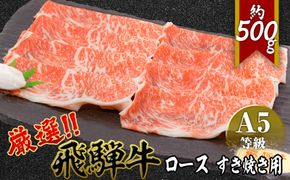店主こだわり雌牛 飛騨牛A5等級　ロース　すき焼き用　約500g [No.040]