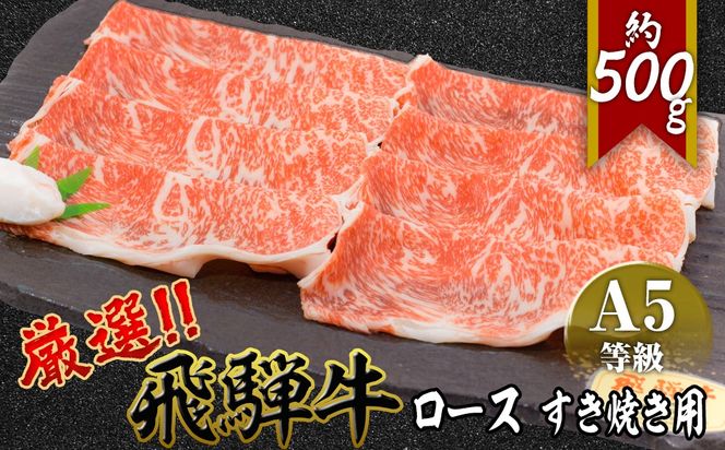 店主こだわり雌牛 飛騨牛A5等級　ロース　すき焼き用　約500g [No.040]