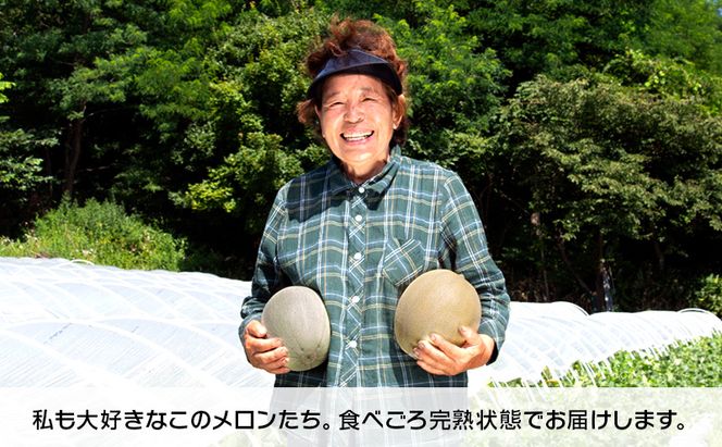 【先行予約2026年産】長谷川さんが作ったメロン3～4個（ゆうか・タカミ）　7月～8月発送　青森県鰺ヶ沢町産 果物類 メロン青肉 フルーツ 3～4玉 