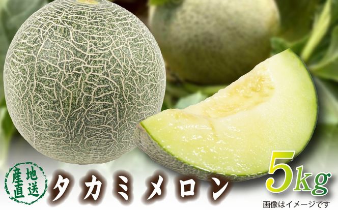 【2026年発送 先行予約】生産農家応援・もぎたて直送 タカミメロン 5kg程度（メロン フルーツ 果物 くだもの 先行受付 2026 宮崎）
