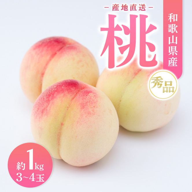 【産地直送】和歌山県産 桃 約1kg（3～4玉）秀品 もも