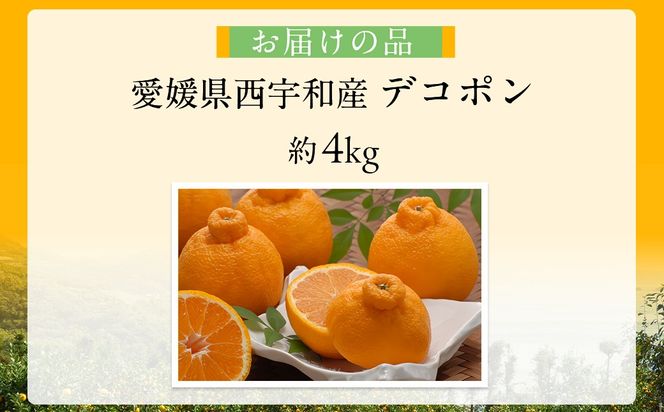 【先行予約】【数量限定】JAにしうわ みつる共選 デコポン 約5kg（化粧箱）※離島への配送不可（2026年2月中旬より順次発送予定） IKTBC008