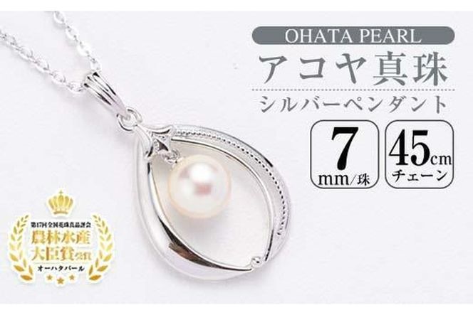 y啪szAR^ Vo[ y_g (7mmE`F[45cm) ^ p[ lbNX tH[} p[eB[   啪 syAF03zy(L)I[n^p[z