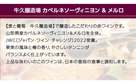 【JWC2022 受賞】牛久醸造×メルロ＆カベルネ・ソーヴィニヨン 750ml×1 茨城県産 牛久醸造場 日本ワイン ワイン お酒 贈り物 受賞 上品 果実 クリスマス 誕生日 赤ワイン JWC2022 受賞 辛口 ミディアムボディ 